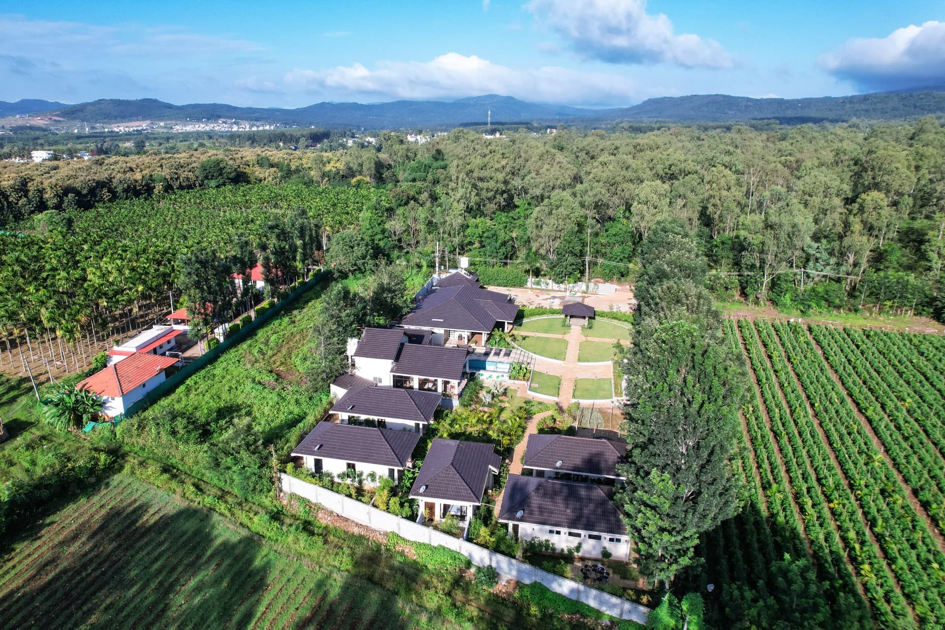 The Pentouz Hillside living